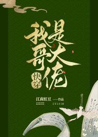 种太阳