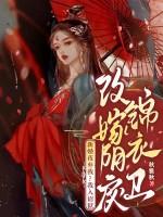 双面法曹