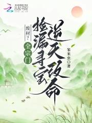 抗日锄奸特战队