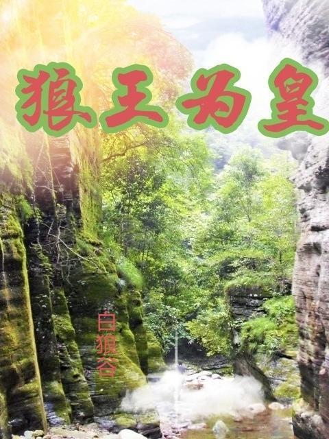 我的小姨是大明星