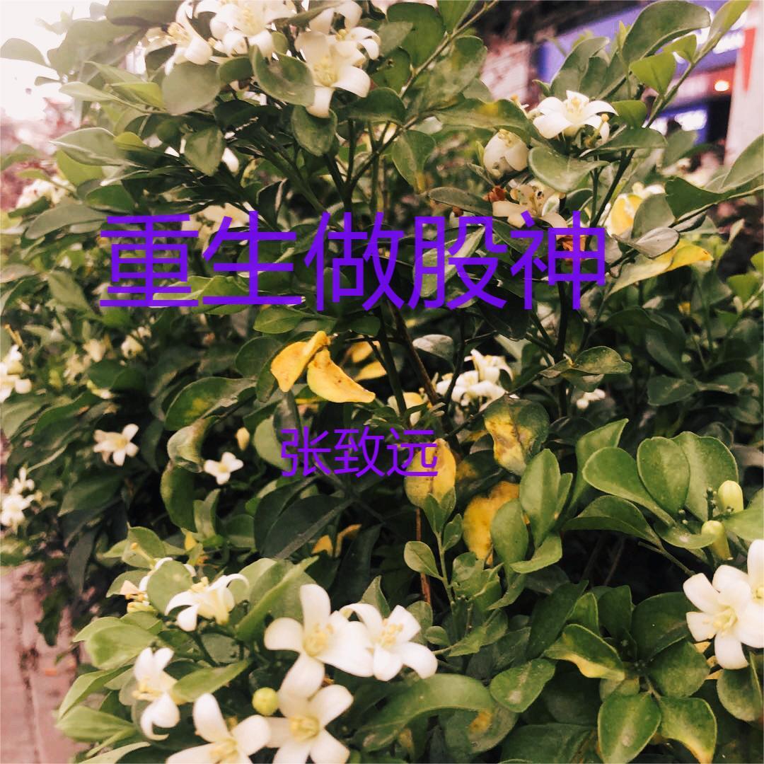 你是我的天涯海角