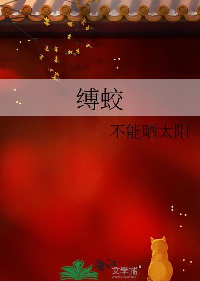 我是骑士，不叫NPC