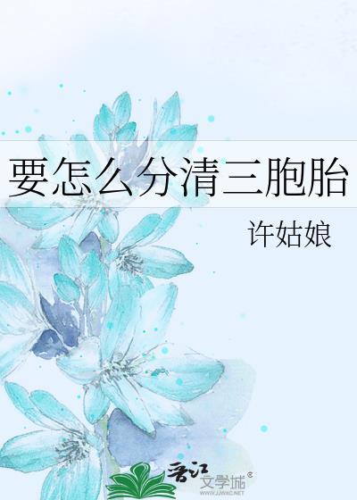 团长女友脑子有病