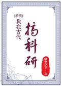 彭格列的珍宝
